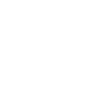 APPA (American Probation and Parole Association) logo